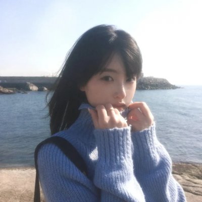 海燕双飞